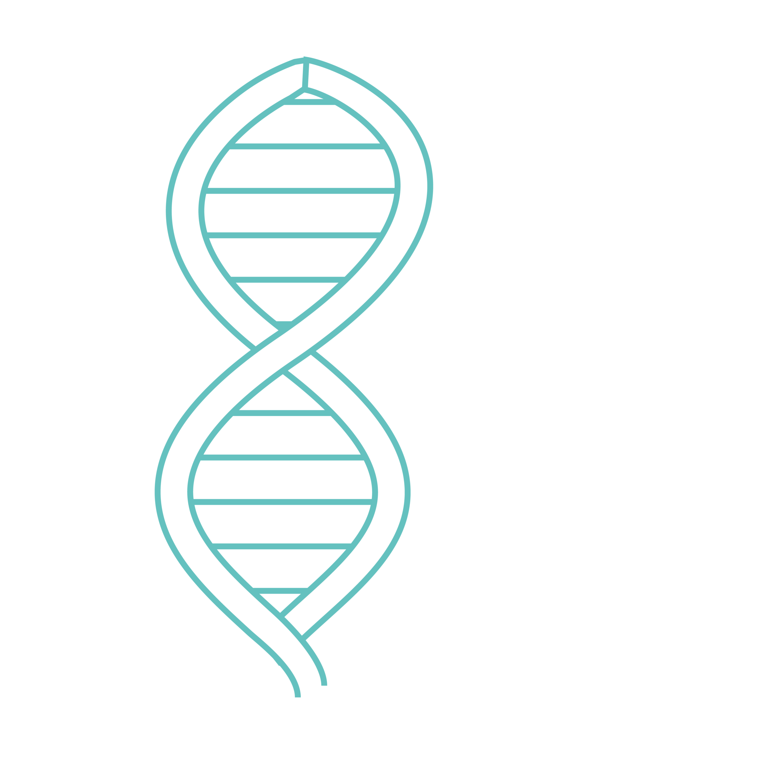 Minimalist vector illustration of a DNA double helix representing genetics and molecular biology.