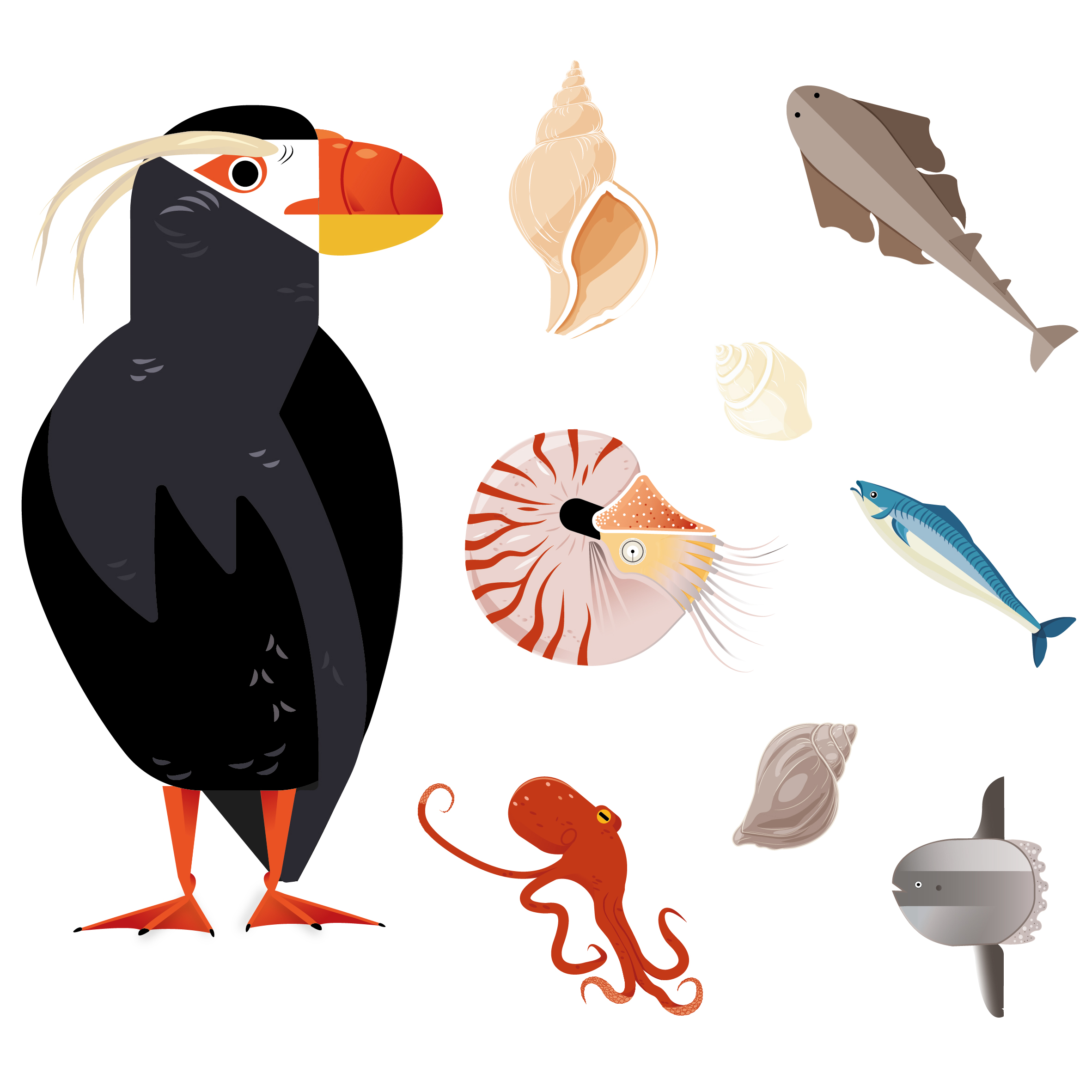 Stylized vector collection of marine animals and seashells, including a puffin, fish, nautilus, dolphin, octopus, sunfish, and shells.