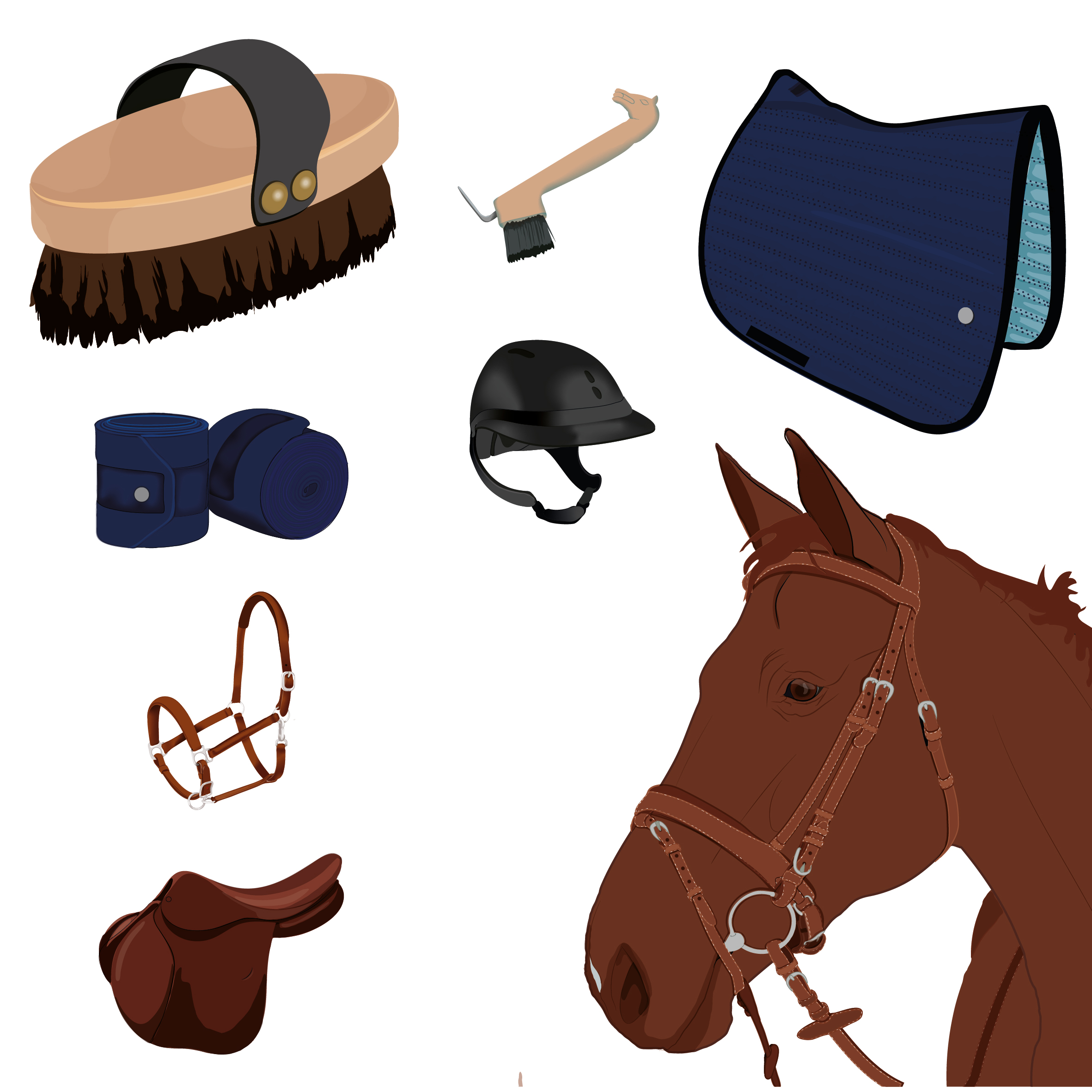 Vector illustration collection of a horse and equestrian equipment, including a saddle, bridle, helmet, grooming brushes, bandages, and horse blanket.